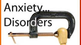 国家心理健康研究所正在进行的焦虑症研究。