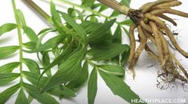 Detailed information on valerian root to treat insomnia and sleep disorders. Learn more about herbal dietary supplement Valerian.