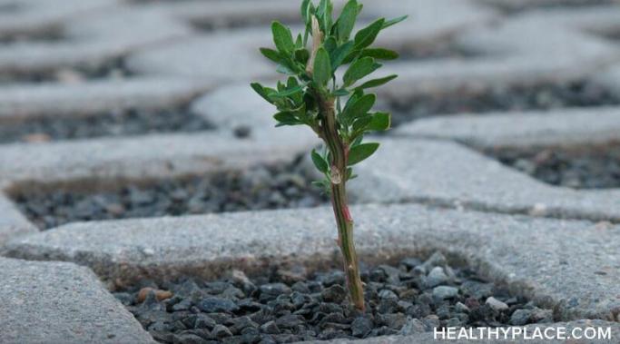 情绪弹性尤为重要,患有精神疾病。学习如何创造更多的情感在HealthyPlace韧性。