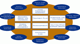 组件的综合药物滥用治疗