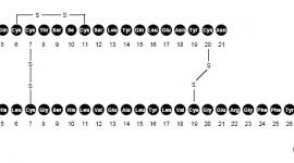 di-novologgydF4y2Ba